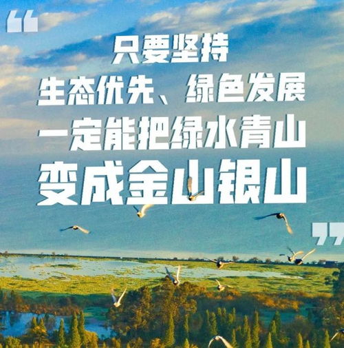 博潤創(chuàng)投企業(yè)服務中心攜手水木綠洲環(huán)保科技,引領甘泉堡工業(yè)園綠色化發(fā)展