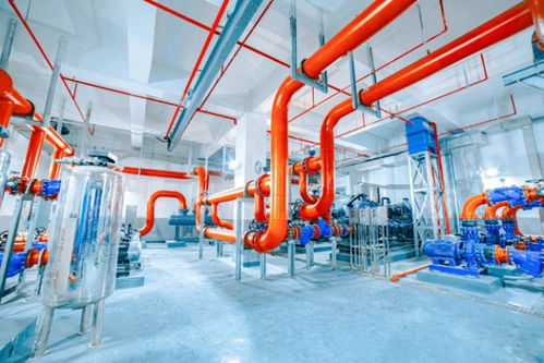 低碳又環保 這座水質凈化廠 藏 在城市公園下