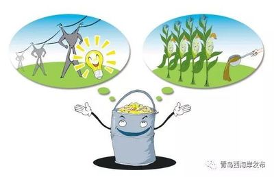 餐廚垃圾、大件垃圾如何處理?小宣來支招!(附垃圾清運熱線)_社會